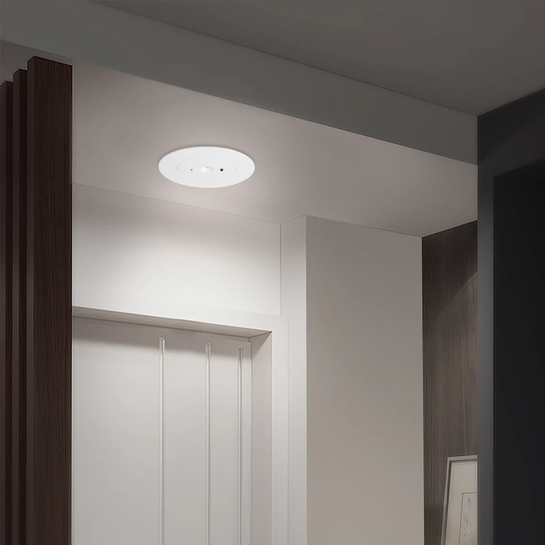 LED Backup Light, LED Emergency Recessed Downlight