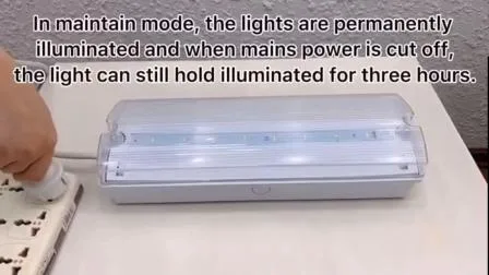 高品質の 4.5W LED 非常灯を工場出荷時の最低価格で提供